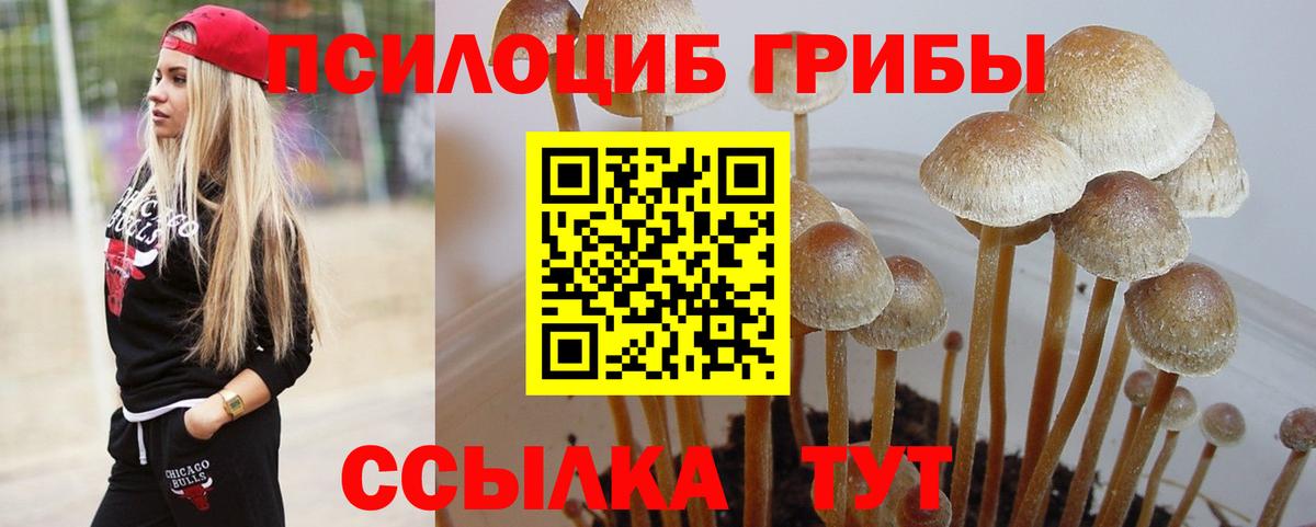 наркошоп  Галлюциногенные грибы прущие грибы  Вход с VPN  Пугачёв 